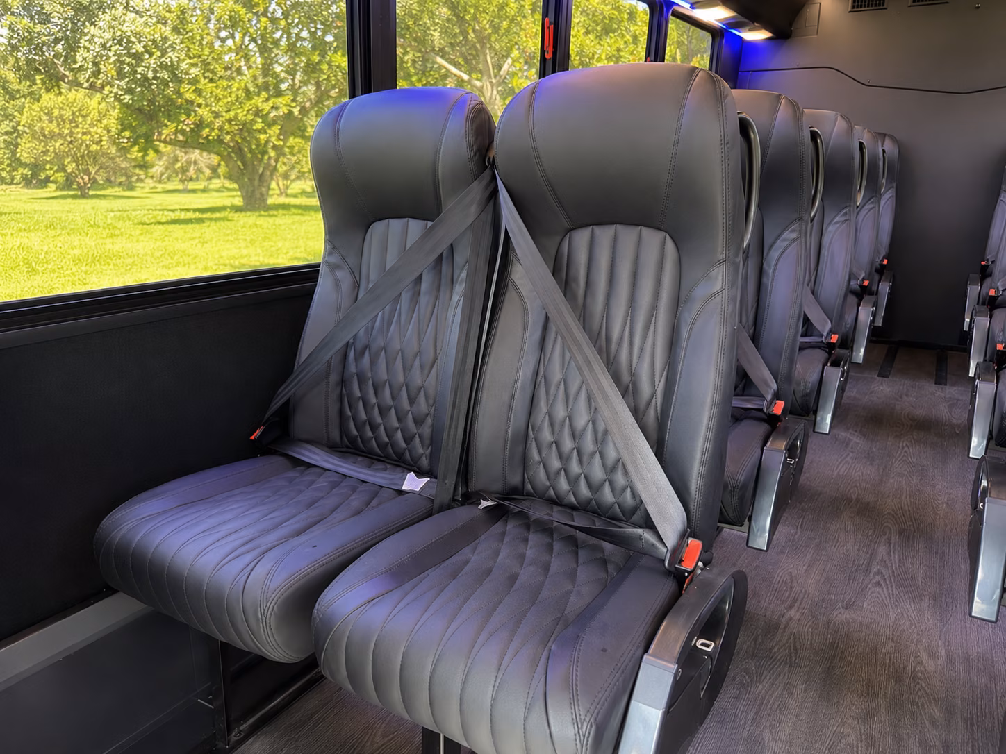 marietta get your class moving with marietta school field trip bus rentals