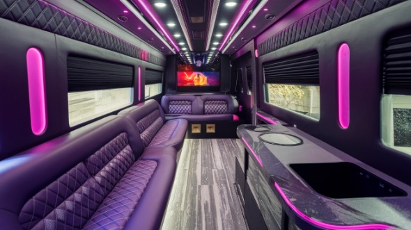 party bus rental rental roswell